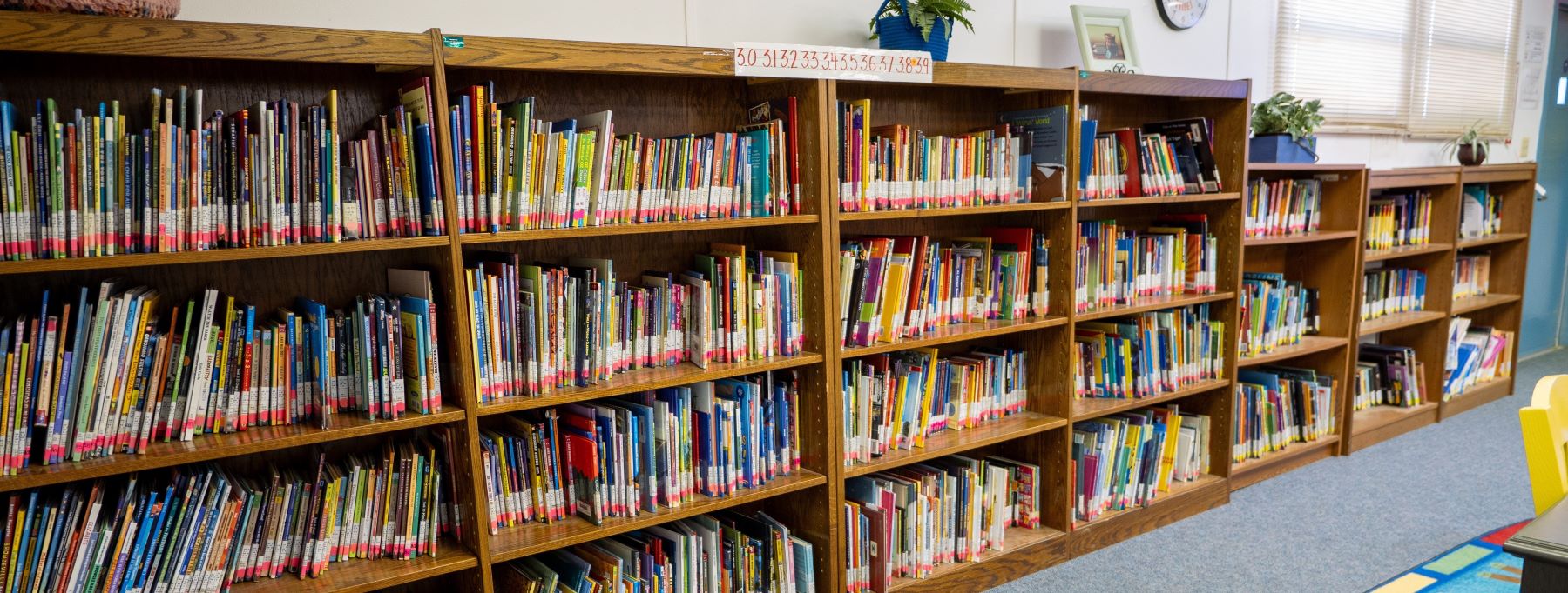 Library shelves full of books.