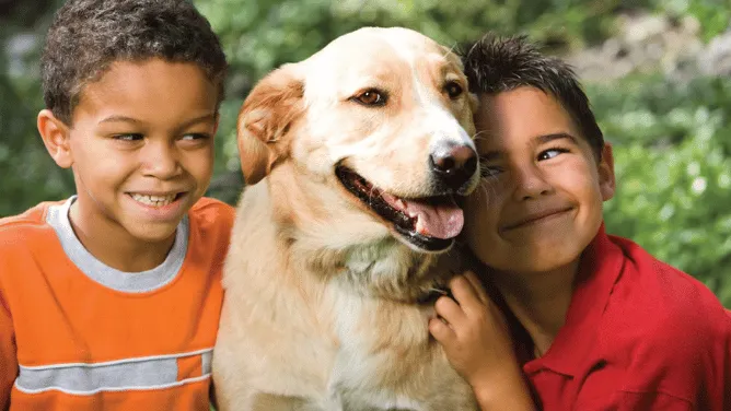 Two boys playing with their dog. 